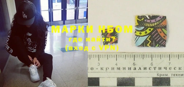 шишки Гусиноозёрск