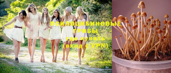 шишки Гусиноозёрск