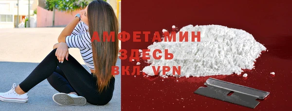 шишки Гусиноозёрск