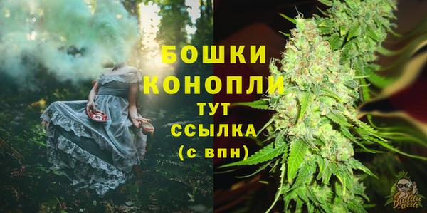 гидропоника Гусев