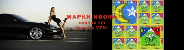 шишки Гусиноозёрск
