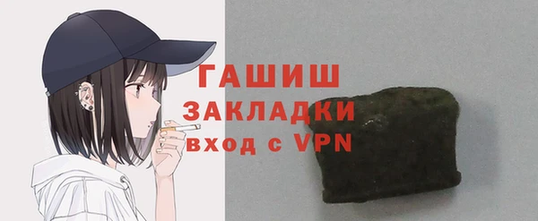 шишки Гусиноозёрск