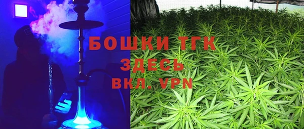 гидропоника Гусев