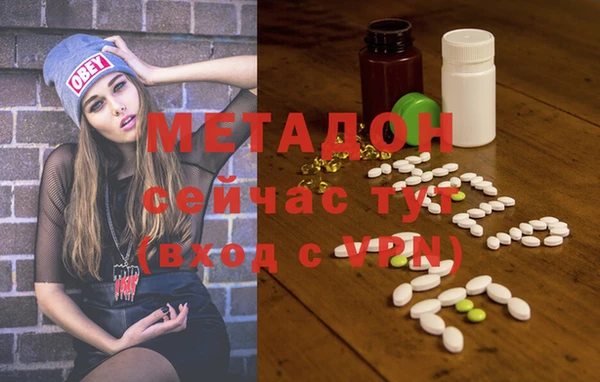 шишки Гусиноозёрск