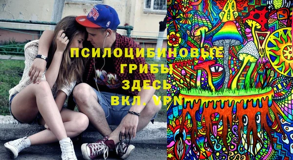 стафф Гусь-Хрустальный