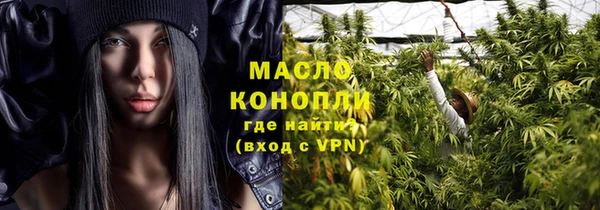 шишки Гусиноозёрск