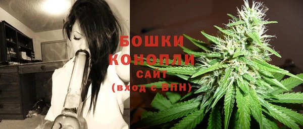 гидропоника Гусев