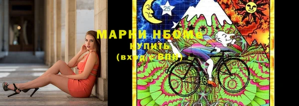 шишки Гусиноозёрск