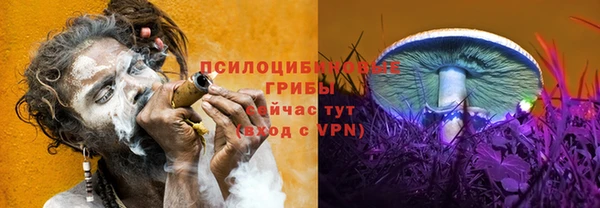шишки Гусиноозёрск