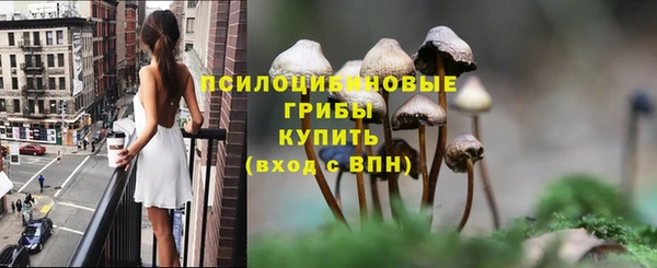шишки Гусиноозёрск