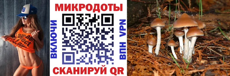 блэк спрут сайт Оса Псилоцибиновые грибы Psilocybe наркота